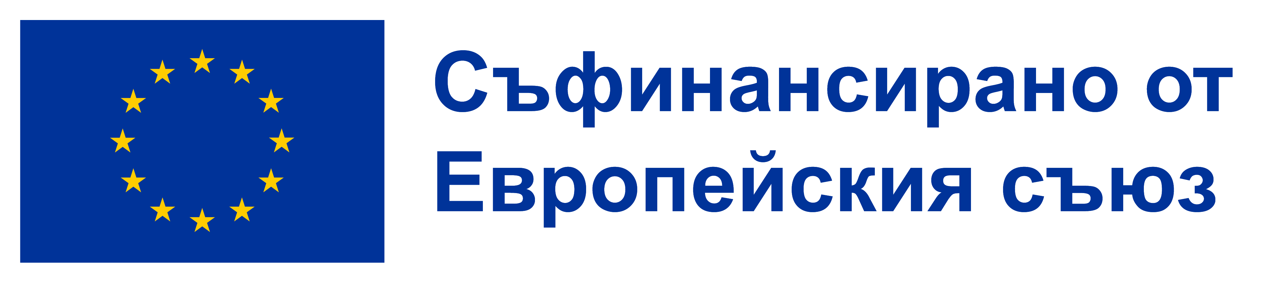 EU Logo