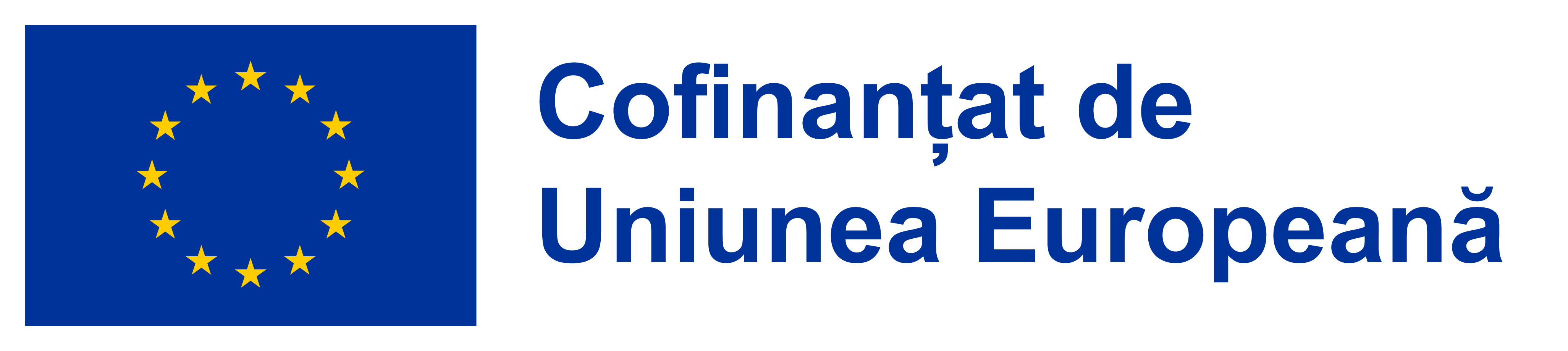 EU Logo