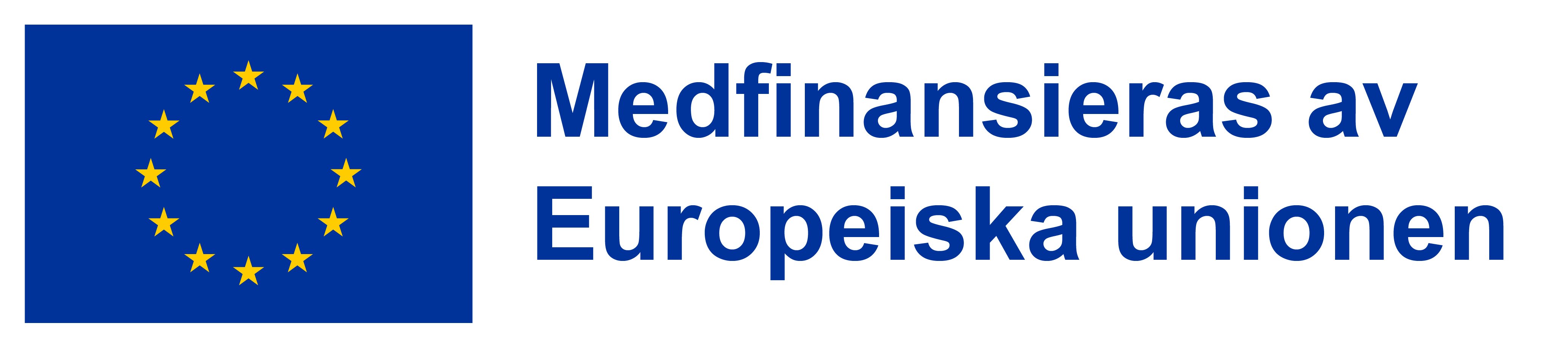 EU Logo